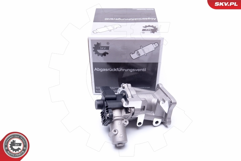 EGR Valve